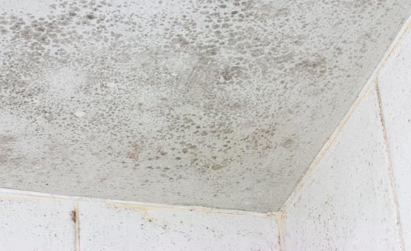 Mold Remediation by Dry Run Restoration, LLC