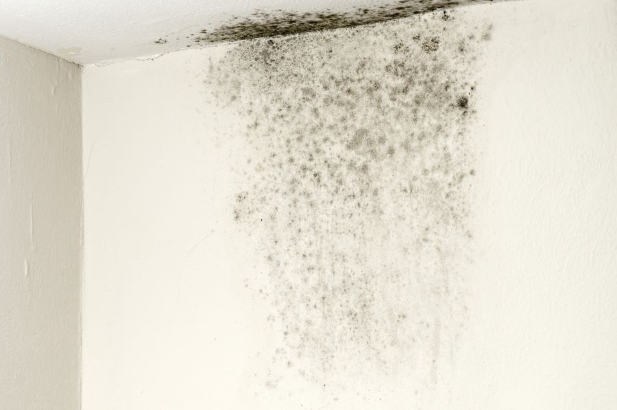 Mold Remediation by Dry Run Restoration, LLC